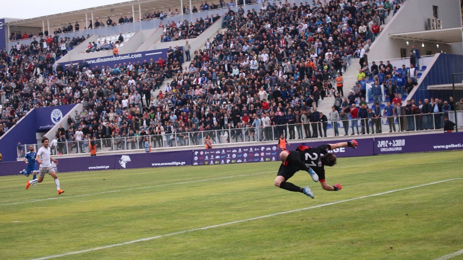 რევანში თელავთან
