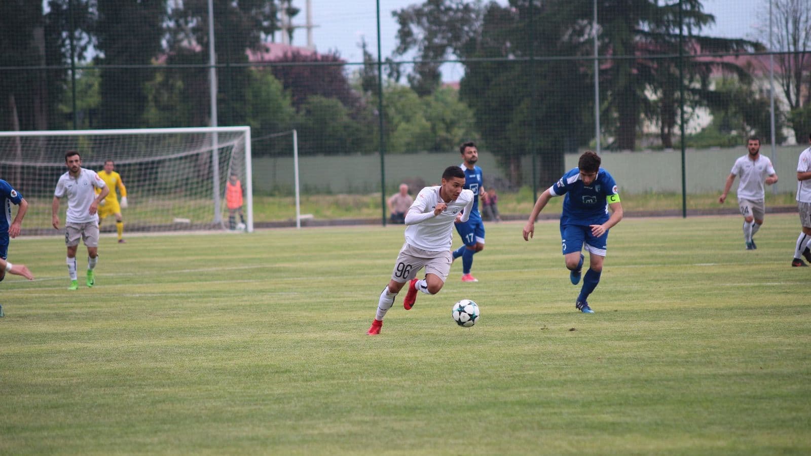 რევანში თელავთან