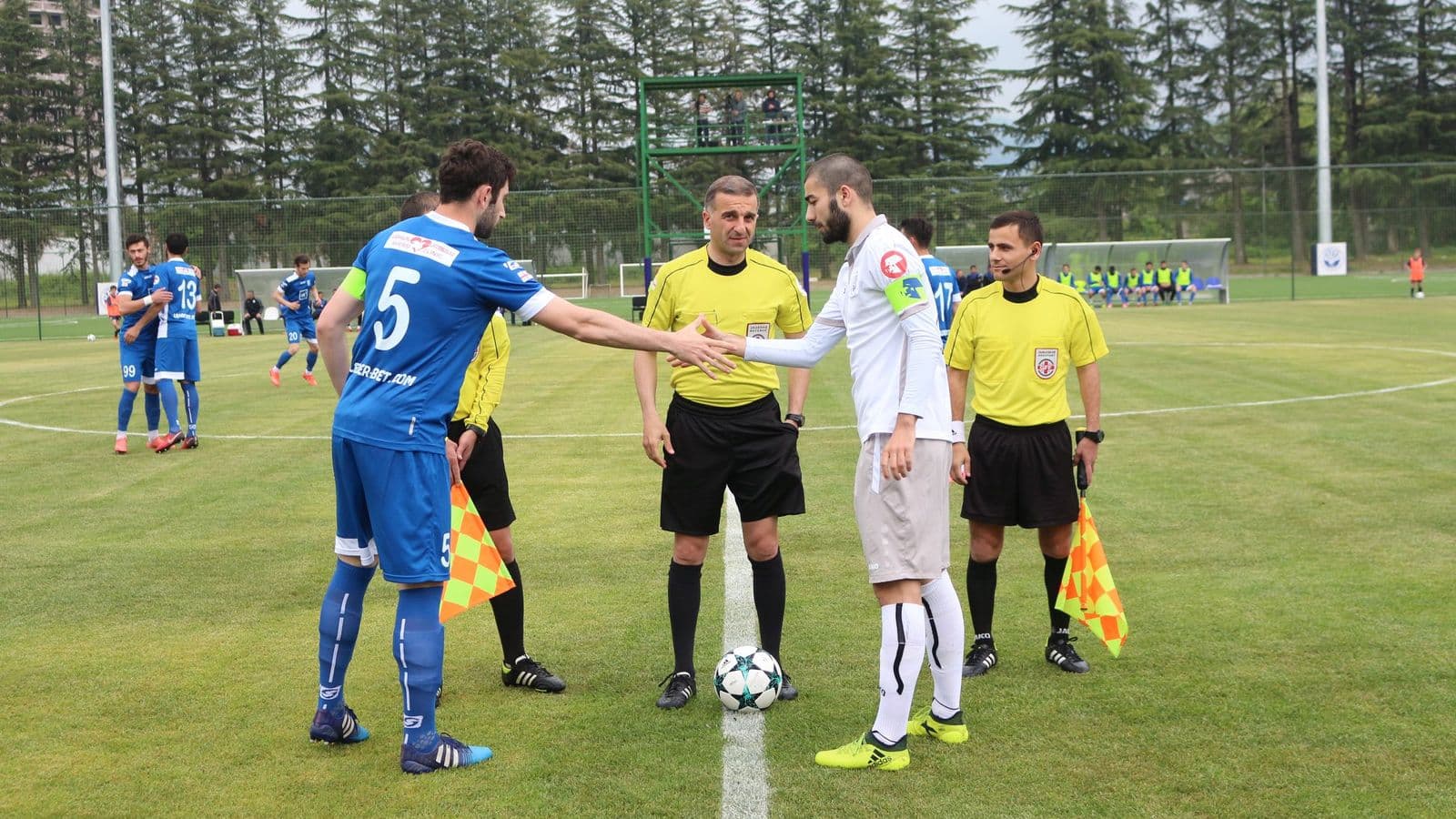 რევანში თელავთან