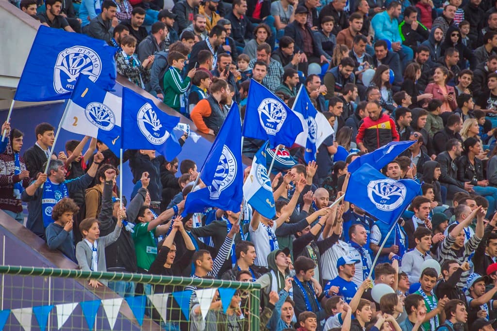 სახლში დაბრუნება